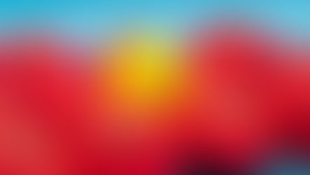 Cơ Đốc Nhân có được sống độc thân, không lấy chồng, lấy vợ không? - Vợ là xương sườn của chồng?