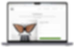 Responsive Wix Studio Desktop