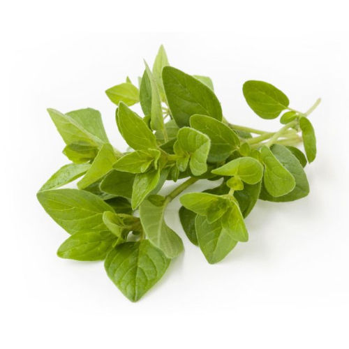 Bay Leaves