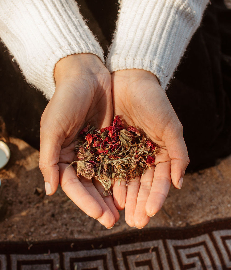 hands holding dried herbs