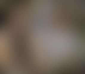 Disparition de Catherine Spaak