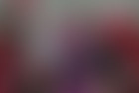 Deux épisodes sur HD1