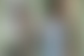 Sortie de la saison 8 en DVD