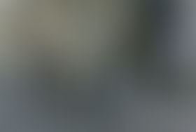 Au programme de ce week-end