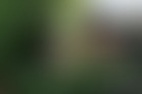 Les épisodes de ce week-end