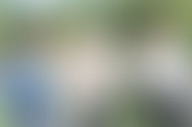 Promo pour le lancement de la saison 10