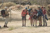 Suite de la saison 13 sur TF1