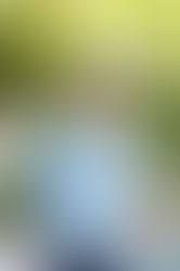 Kamel Belghazi sur la RTBF