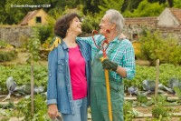 Saisons 8 et 9 sur HD1