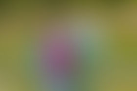 Saisons 8 et 9 sur HD1