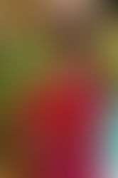 Anny Duperey sur LCI, C8 et RMC