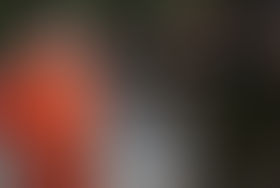 Deux épisodes sur HD1