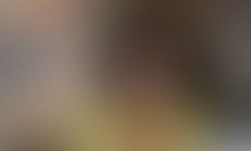 “Un éléphant ça trompe énormément” sur TV Breizh