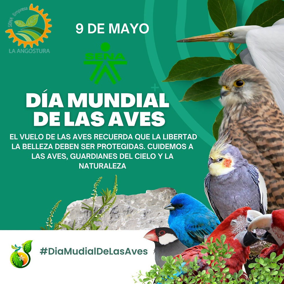 Dia Mundial de la Aves