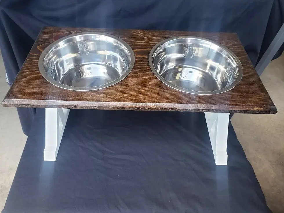 Thumbnail: Medium Raised Pet Feeder