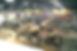 DJI_0808_edited.jpg