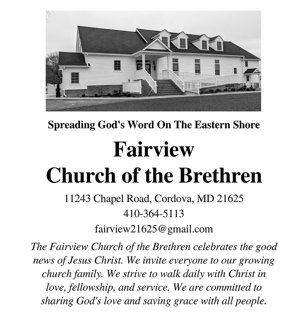 Auction Ads - Fairview New.png