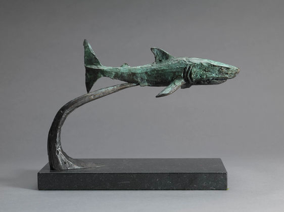 I am fascinated by sharks, Great Whites in particular. I feel captivated by their slow fluid movements and ominous power in the water.

Great White sharks are renowned for their streamlined bodies, allowing them to glide effortlessly through the water. Their size, with some individuals reaching over 20 feet in length, and their powerful, muscular bodies contribute to their image as apex predators. Sharp, serrated teeth are perfectly adapted for capturing and holding on to prey, further emphasising their dominance in the ocean.