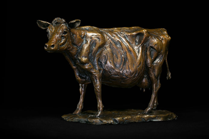 Jersey Cow, Limited edition, bronze sculpture 