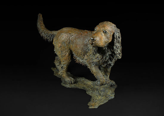 It is always an enjoyable challenge capturing the distinct character and vigour of a dog. Often very willing models, I enjoy sculpting dogs of all breeds. 
