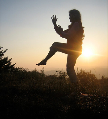 janicetaichi.jpg
