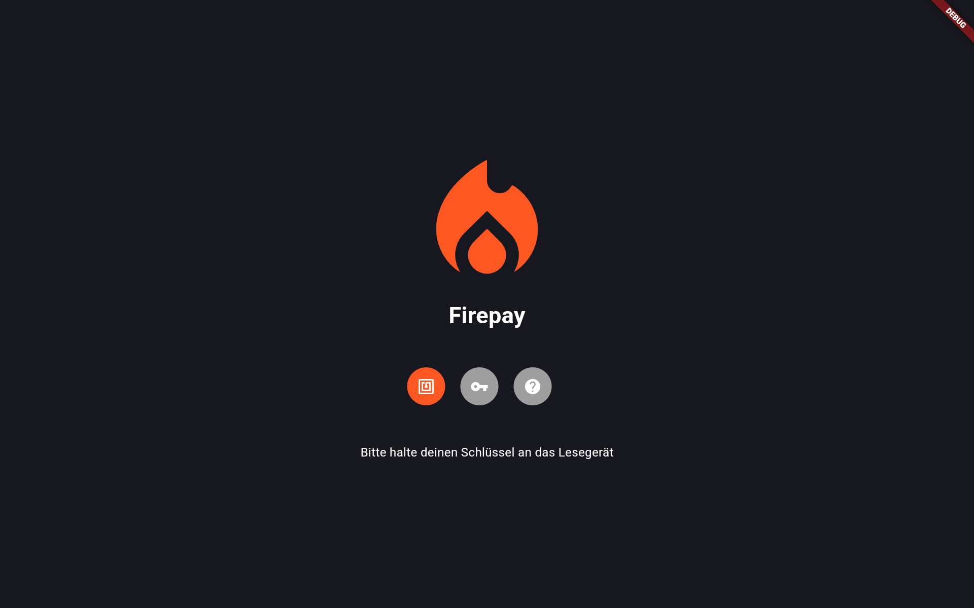 FIREPAY38 Basissoftware