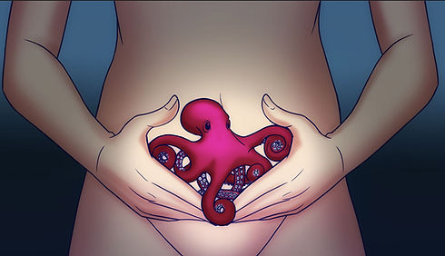 Ventre Octopus .jpg