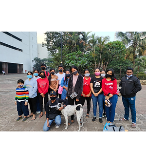 Ivory and Yellow Photo Kitchen Set Promo Deals Social Media Post (1).png