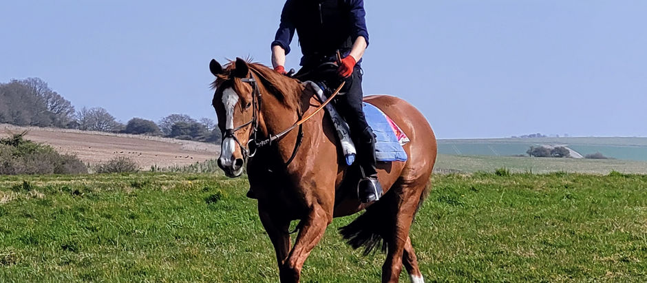 6th November - Stable News