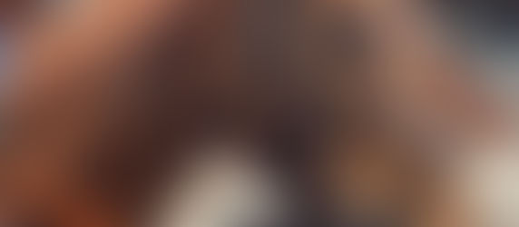 8th October- Stable News