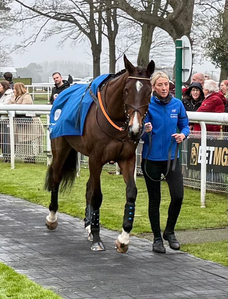 27th March- Stable News 