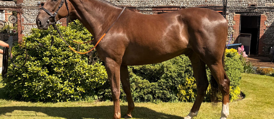 9th June - FOR SALE