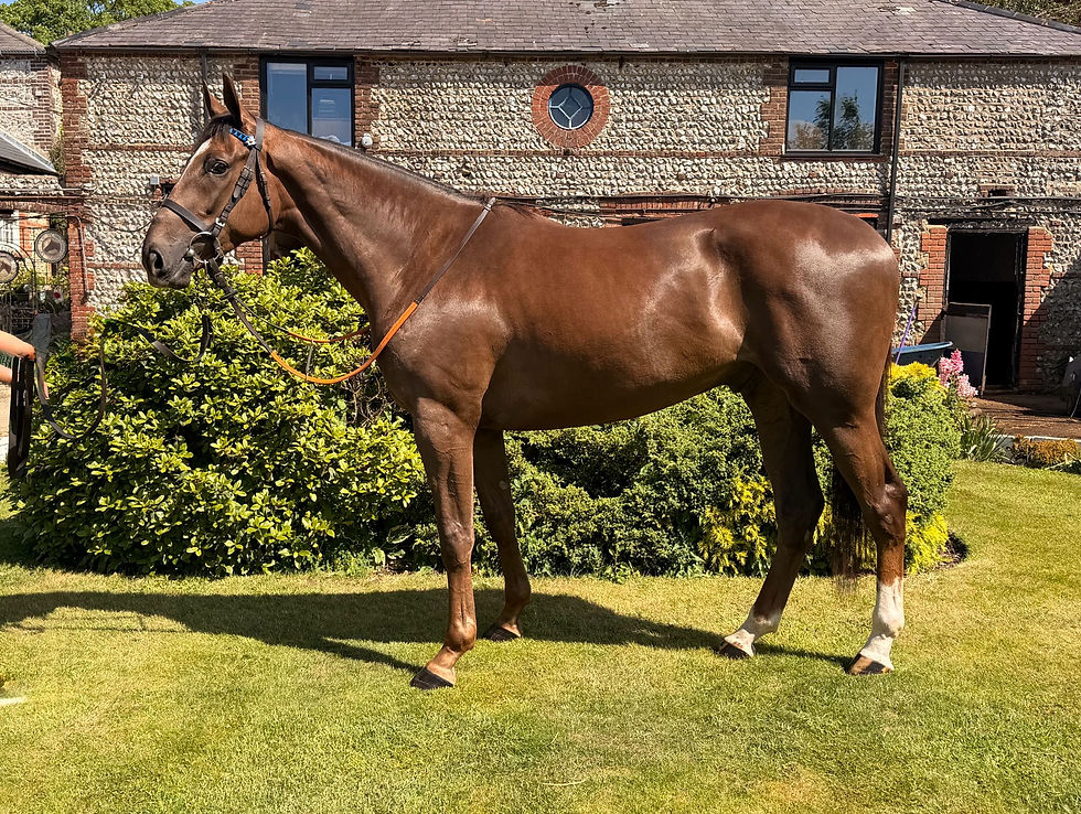 9th June - FOR SALE