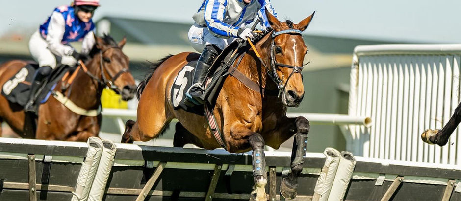 20th October- Stable News