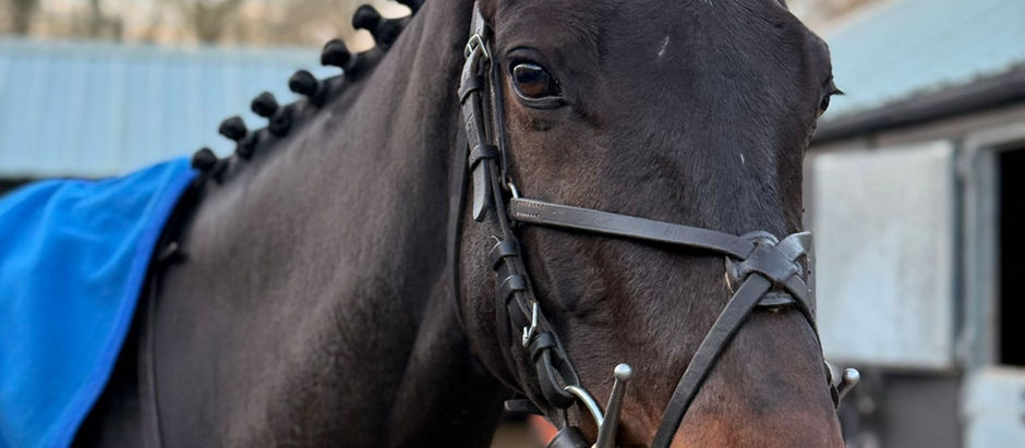 26th December Stables News- FONTWELL