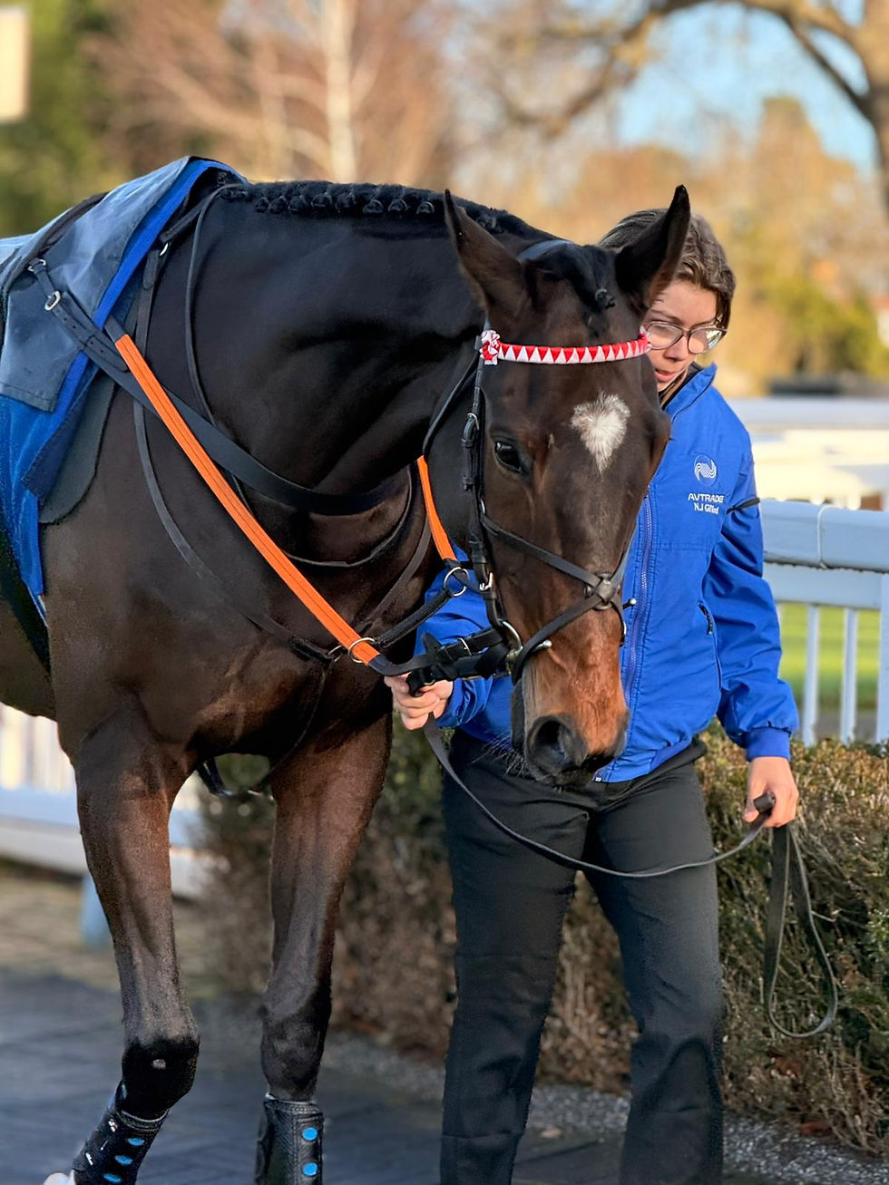 25th February - Stable news