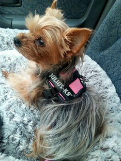 Toujours prête pour une balade !