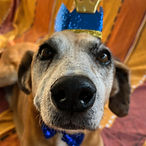 Valentin 13 ans_picto.jpg