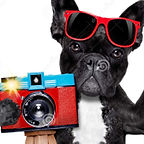 Photographe bénévole_picto (1).jpg