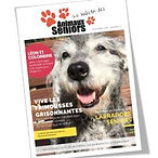 Bulletin 2019 picto.jpg