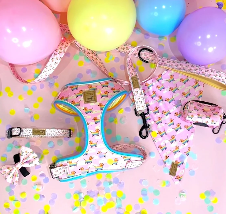 pink rainbow harness collar lead leash bow tie bandana poop bag holder dachshund chasing rainbow