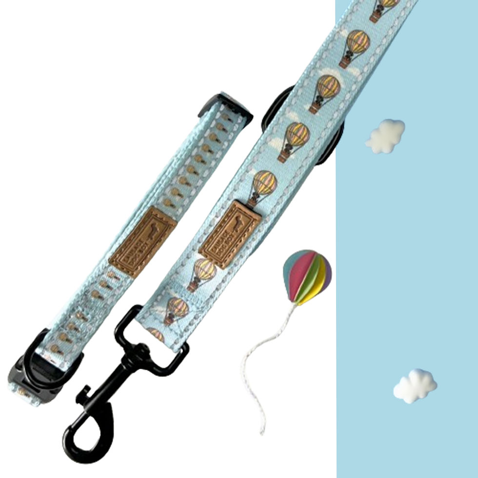 Pikkukuva: Lead - Up Up &  Away