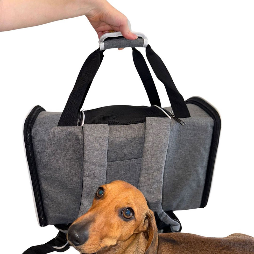 Thumbnail: Carrier for dachshund backpack