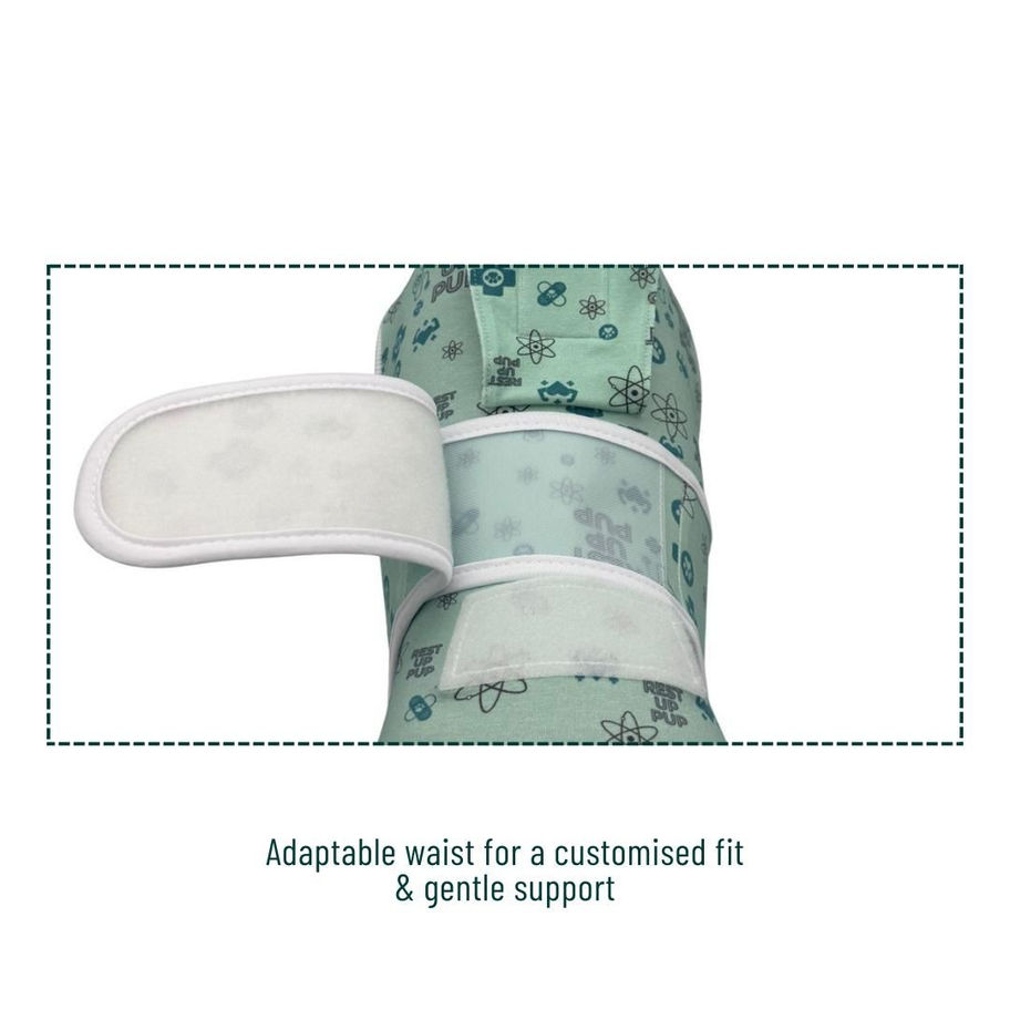 Adaptable waist on dog recovery suit for Skye Terrier