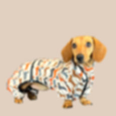 Waterproof Four Legged Dachshund Puddle Suit Mud Apparel