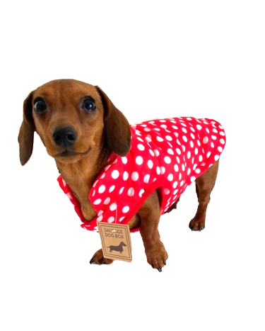Μικρογραφία: Sausage Dog Box Polka Puffer Coat