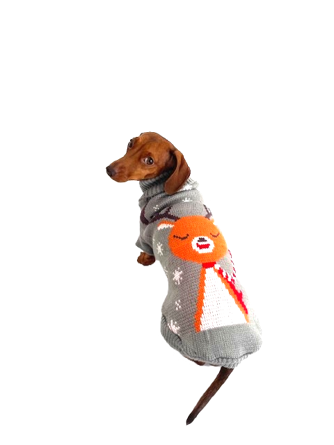 Minijatura: Dachshund Christmas Jumper for sausage dog or teckel