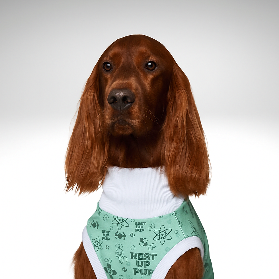 Irish Setter Dog Surgery Suit | Bamboo Healing & Comfort Post-Op | BreedFit®