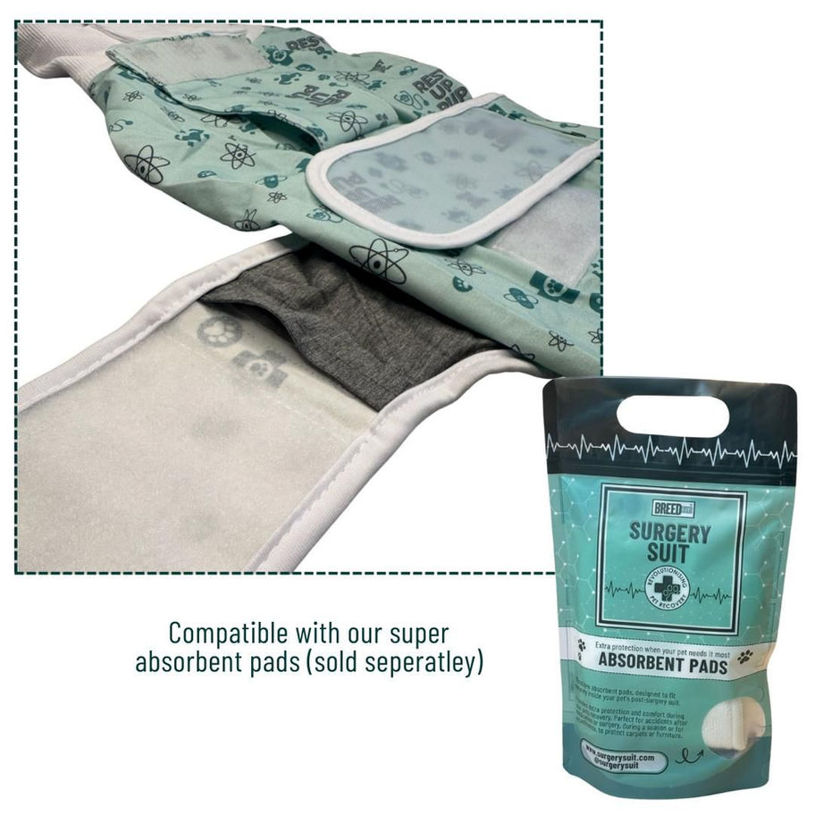 Absorbent pads for use with French Bulldog dog recovery suit