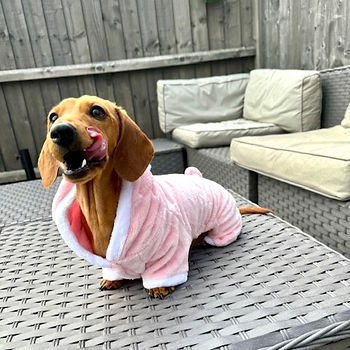 Dachshund Dress Up Outfit Costume in Pig Design